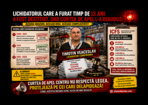 Articolul 11